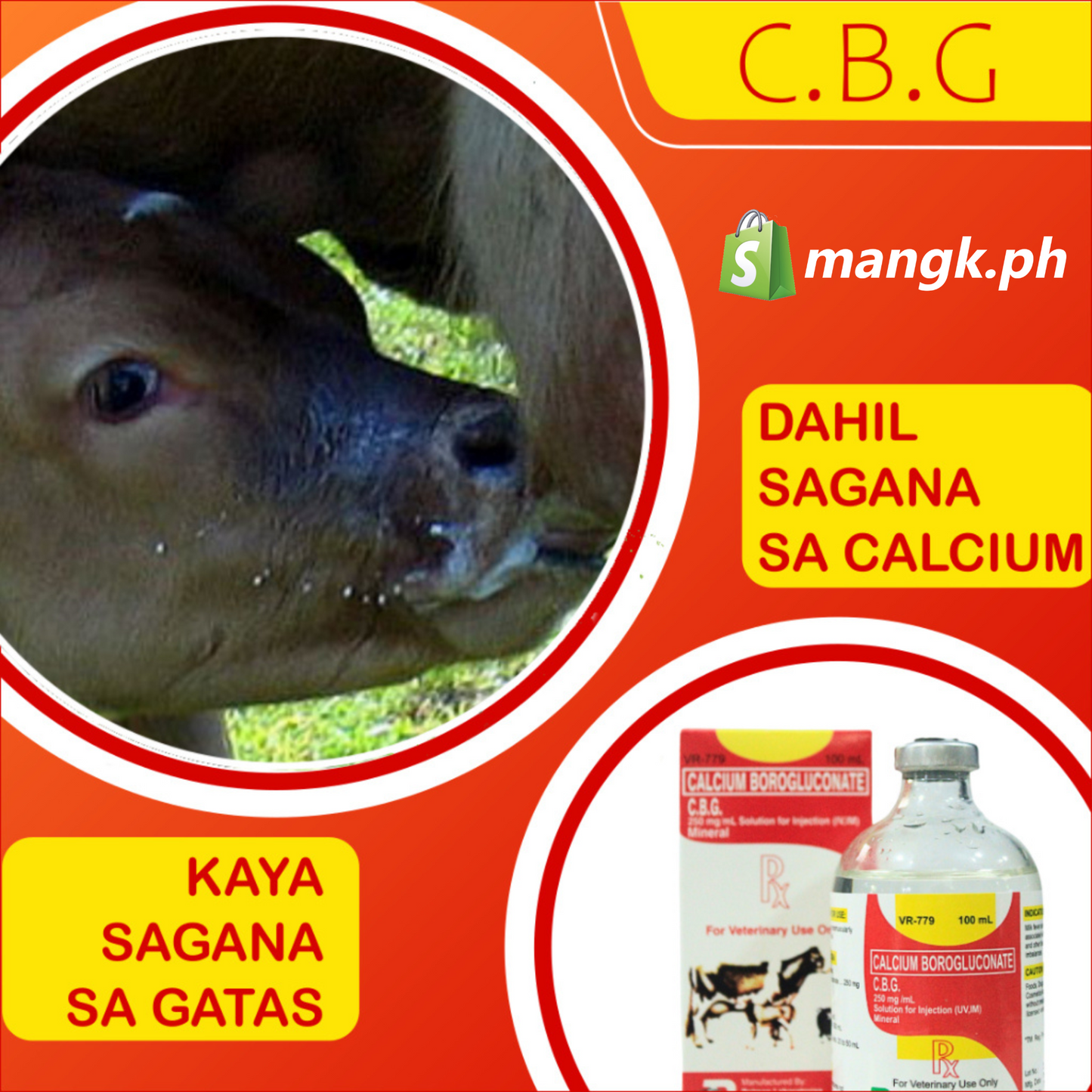CBG 100ML Calcium Boro Gluconate Belman