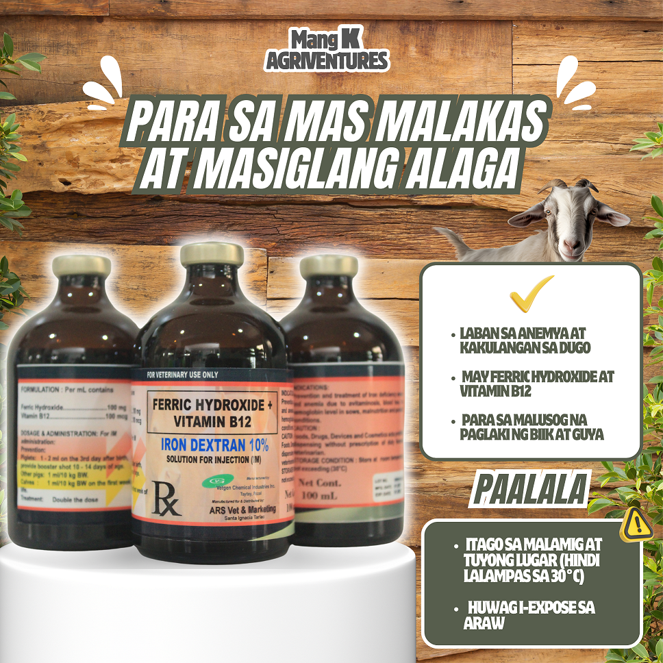 IRON DEXTRAN 10% Solution for Injection (IM) 100 ml