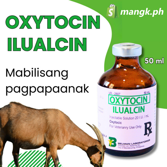 Oxytocin ILUALCIN| Pampahilab