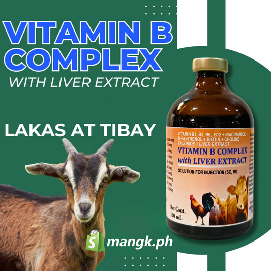 VITAMIN B COMPLEX with Liver Extract for ANIMALS 100ML