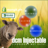 DCM Injectable 100mL |Dextrose, Calcium, Magnesium| para sa panghihina ...