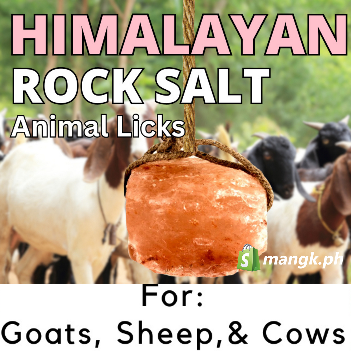 Himalayan Mineral Block and Salt Lick for Animals| 1.6 to 1.8 KG