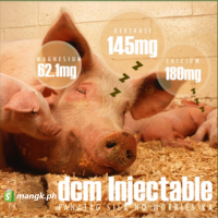 DCM Injectable 100mL |Dextrose, Calcium, Magnesium| para sa panghihina ...