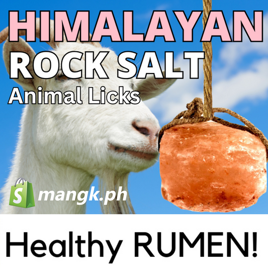 Himalayan Mineral Block and Salt Lick for Animals| 1.6 to 1.8 KG