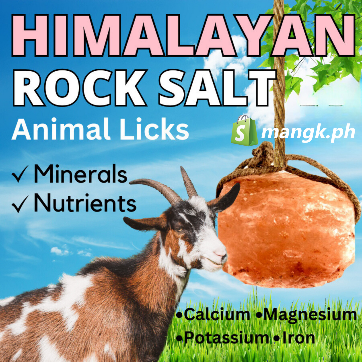 Himalayan Mineral Block and Salt Lick for Animals| 1.9 to 2.1 KG