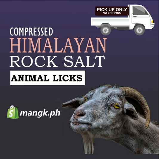 Himalayan Mineral Block and Salt Lick for Animals| 1.3 to 1.5 KG