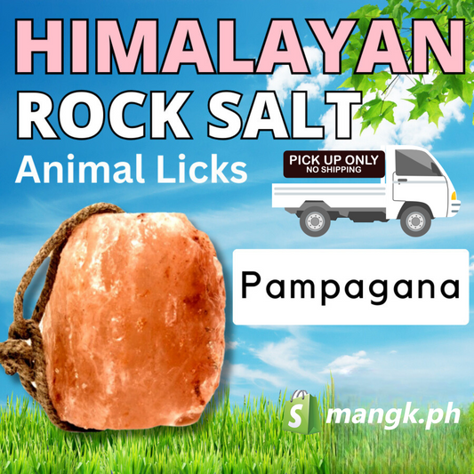 Himalayan Mineral Block and Salt Lick for Animals| 1.9 to 2.1 KG