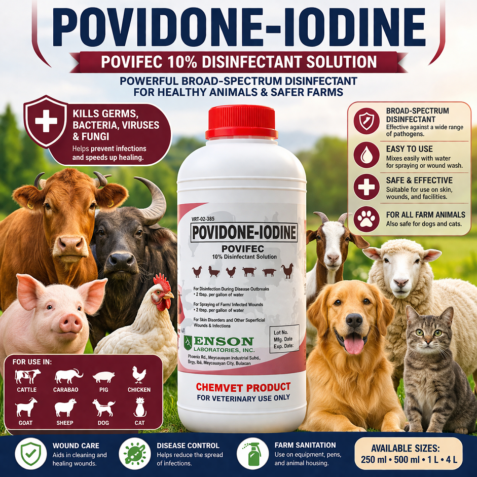 POVIFEC 1L Povidone Iodine 10% Antiseptic Disinfectant for Wounds | Livestock Dog Cat Poultry
