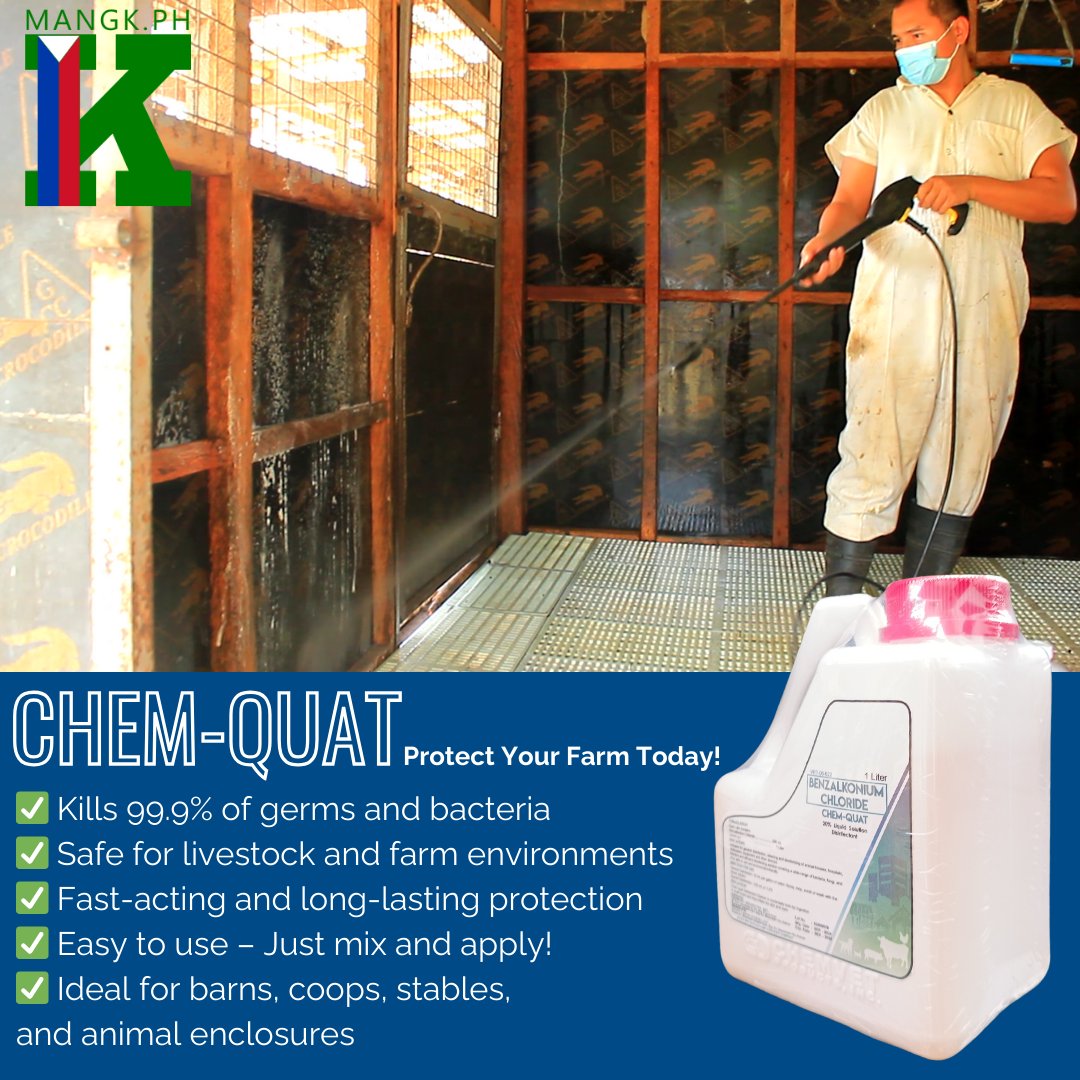 CHEM-QUAT Disinfectant for Animal Houses, Floors and Walls, Equipments, and other Devices | 1Liter