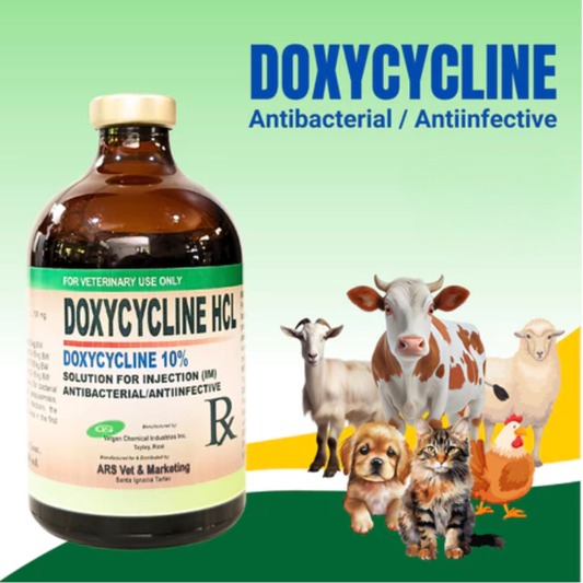 DOXYCYCLINE 10% Antibacterial Solution for inj.(IM) 100ml | for goats, cattle, swine, dogs, and cats