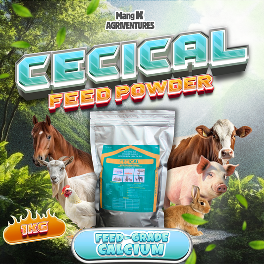 1 KG CECICAL POWDER Feed MIX Vitamins|Minerals for Chicken|Gamefowl GOAT SHEEP AND CATTLE (REPACKED)