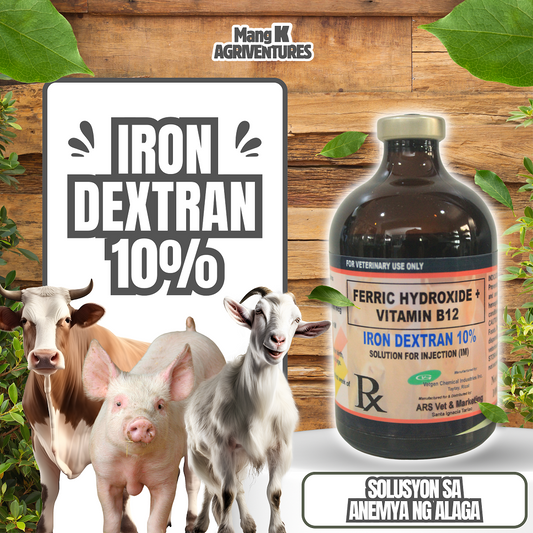 IRON DEXTRAN 10% Solution for Injection (IM) 100 ml
