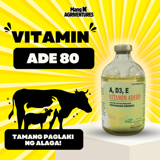 Vitamin ADE 80 100 ml | Performance Enhancer | Injectable for Animals