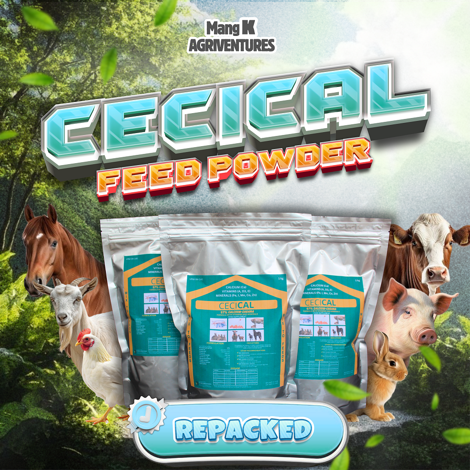1 KG CECICAL POWDER Feed MIX Vitamins|Minerals for Chicken|Gamefowl GOAT SHEEP AND CATTLE (REPACKED)