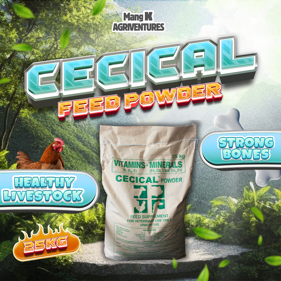 1 KG CECICAL POWDER Feed MIX Vitamins|Minerals for Chicken|Gamefowl GOAT SHEEP AND CATTLE (REPACKED)