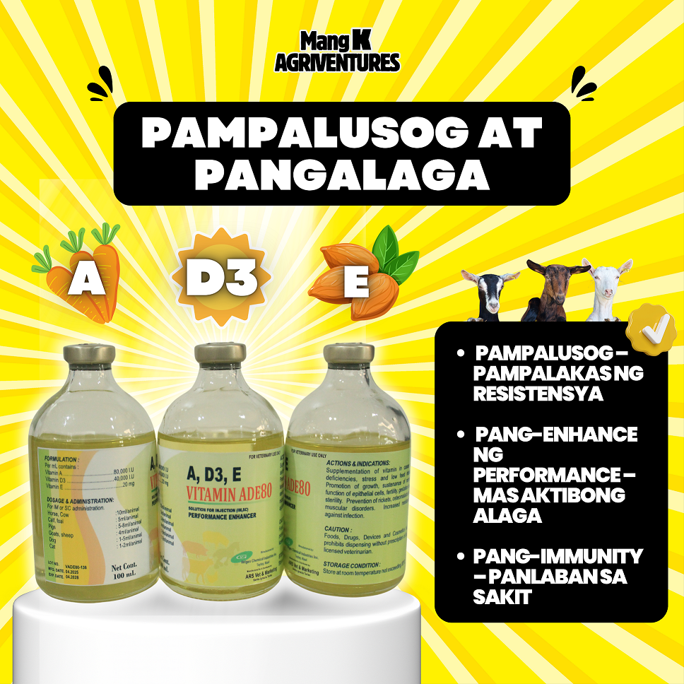 Vitamin ADE 80 100 ml | Performance Enhancer | Injectable for Animals