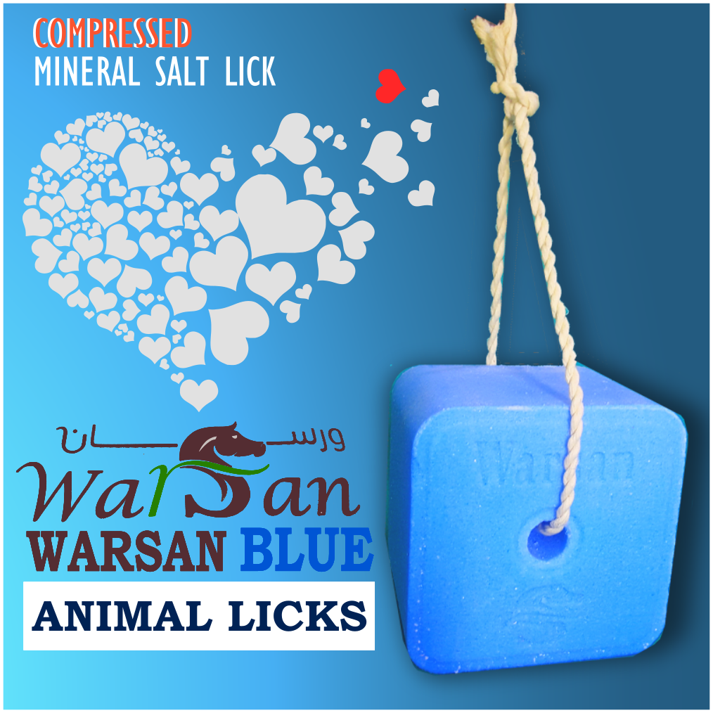 Authentic WARSAN BLUE 4.5kg Mineral Block Salt Lick| Immune Booster for Ruminants